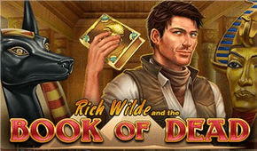 Book of Dead slot