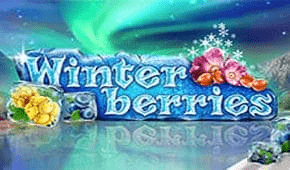 Winterberries slot